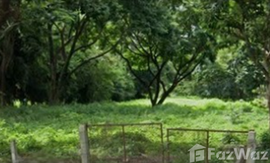 Land for sale in Rop Wiang, Chiang Rai