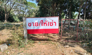 Land for sale in Rop Wiang, Chiang Rai