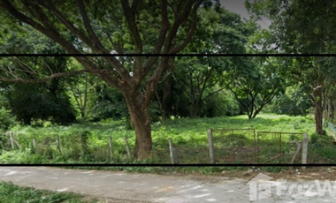 Land for sale in Rop Wiang, Chiang Rai