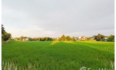 Land for sale in Ban Du, Chiang Rai