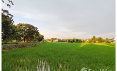 Land for sale in Ban Du, Chiang Rai