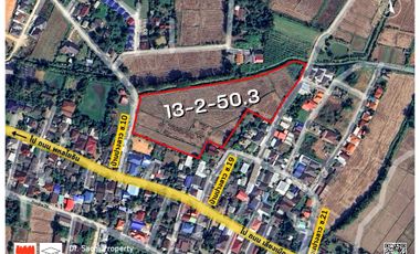 Land for sale in Ban Du, Chiang Rai