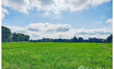 Land for sale in Ban Du, Chiang Rai