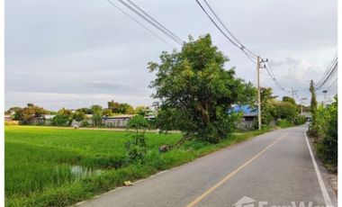 Land for sale in Ban Du, Chiang Rai