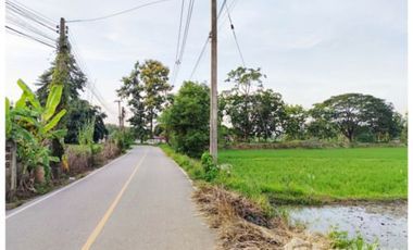 Land for sale in Ban Du, Chiang Rai