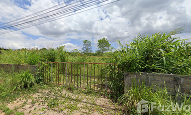 Land for sale in Tha Sut, Chiang Rai