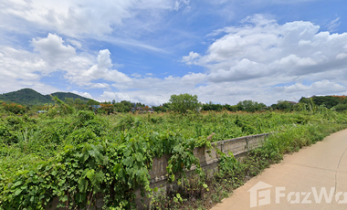 Land for sale in Tha Sut, Chiang Rai