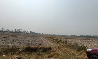 Land for sale in Huai Sak, Chiang Rai
