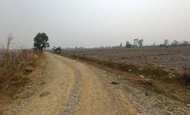 Land for sale in Huai Sak, Chiang Rai