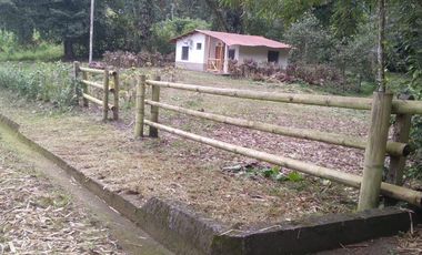 VENTA 2 Terrenos juntos o por separados en  Pedro Vicente Maldonado