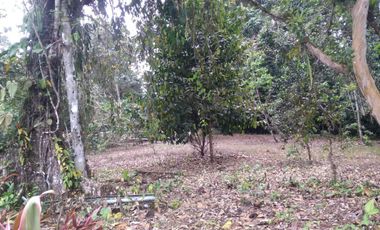 VENTA 2 Terrenos juntos o por separados en  Pedro Vicente Maldonado