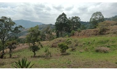 Lote de Terreno en Venta, Copacacaba, La Veta