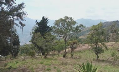 Lote de Terreno en Venta, Copacacaba, La Veta