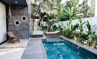 Villas Alquimia: Un Refugio Luxury en Aldea Zama, Tulum