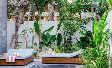 Villas Alquimia: Un Refugio de Lujo en Aldea Zama, Tulum
