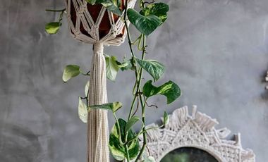 Villas Alquimia: Un Refugio de Lujo en Aldea Zama, Tulum