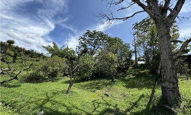 Lote con casa para uso comercial en Llanogrande