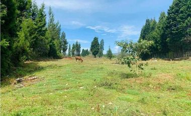vendo casa finca Guarne, Antioquia. 8.500 m2  CP/CH