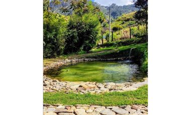 VENDO HERMOSA FINCA EN EL CARMEN DE VIBORAL 8.500 MTS CH
