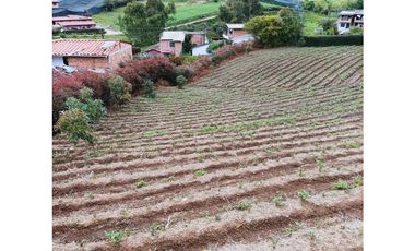 VENDO HERMOSA FINCA EN EL CARMEN DE VIBORAL 8.500 MTS CH