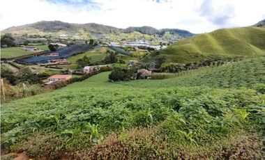 VENDO HERMOSA FINCA EN EL CARMEN DE VIBORAL 8.500 MTS CH