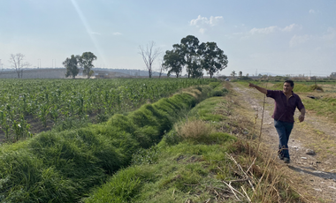 TULTEPEC TERRENO CERCA DEL AIFA USO AGROPECUARIO