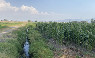 TULTEPEC TERRENO CERCA DEL AIFA USO AGROPECUARIO