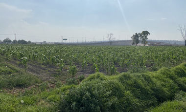 TULTEPEC TERRENO CERCA DEL AIFA USO AGROPECUARIO