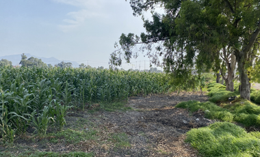 TULTEPEC TERRENO CERCA DEL AIFA USO AGROPECUARIO