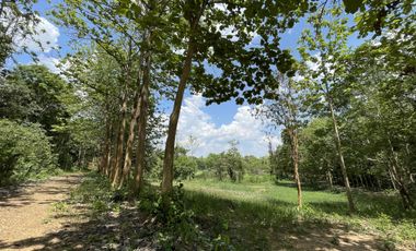 Land for sale in Tha Sai, Chiang Rai