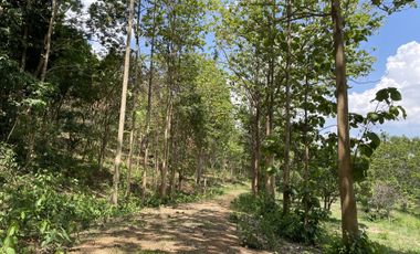 Land for sale in Tha Sai, Chiang Rai