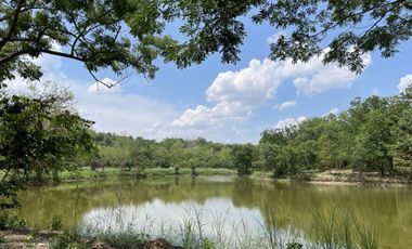Land for sale in Tha Sai, Chiang Rai