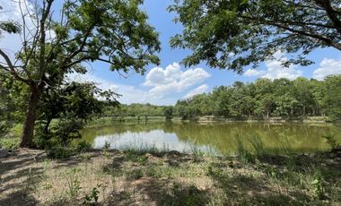 Land for sale in Tha Sai, Chiang Rai