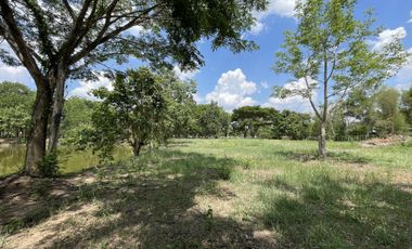 Land for sale in Tha Sai, Chiang Rai