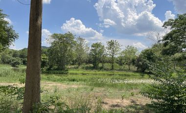 Land for sale in Tha Sai, Chiang Rai