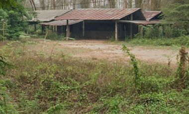 Land for sale in Bua Sali, Chiang Rai