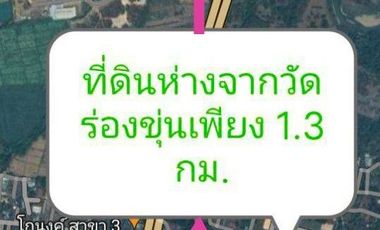 Land for sale in Bua Sali, Chiang Rai