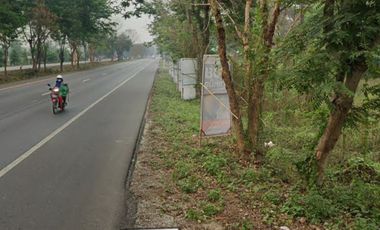 Land for sale in Bua Sali, Chiang Rai