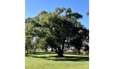 Campo en venta. 225 Has ganaderas con Excelente mejoras