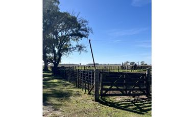 Campo en venta. 225 Has ganaderas con Excelente mejoras