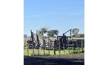 Campo en venta. 225 Has ganaderas con Excelente mejoras