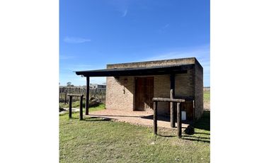 Campo en venta. 225 Has ganaderas con Excelente mejoras