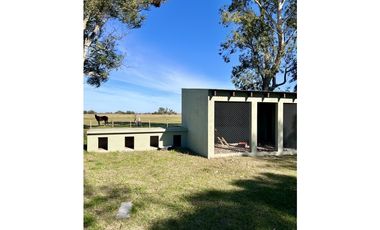 Campo en venta. 225 Has ganaderas con Excelente mejoras