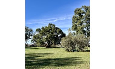 Campo en venta. 225 Has ganaderas con Excelente mejoras
