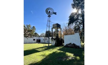Campo en venta. 225 Has ganaderas con Excelente mejoras