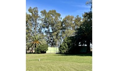 Campo en venta. 225 Has ganaderas con Excelente mejoras