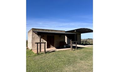 Campo en venta. 225 Has ganaderas con Excelente mejoras
