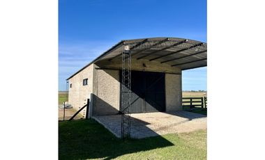 Campo en venta. 225 Has ganaderas con Excelente mejoras