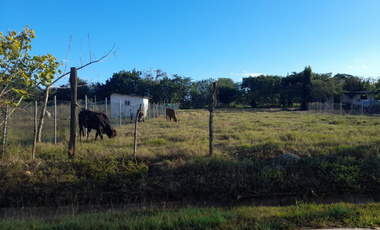 VENTA DE LOTE EN PARITA HERRERA 1,000MTS ORILLA DE CALLE