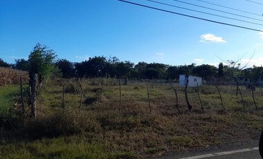 VENTA DE LOTE EN PARITA HERRERA 1,000MTS ORILLA DE CALLE